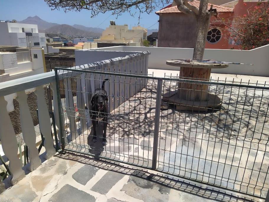 Vivenda Com Patio, No Coracao Do Mindelo Villa Exterior foto